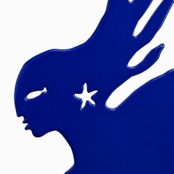 Plongeuse bleue